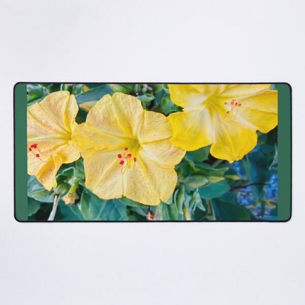 Item preview, Impressionist Four O'Clock Flower Yellow Botanical Digital Painting designed and sold by BalkanBloomArt.
