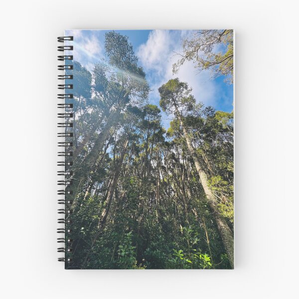 Item preview, Tall Kauri Under the Blue Sky designed and sold by Jasbindar Singh.