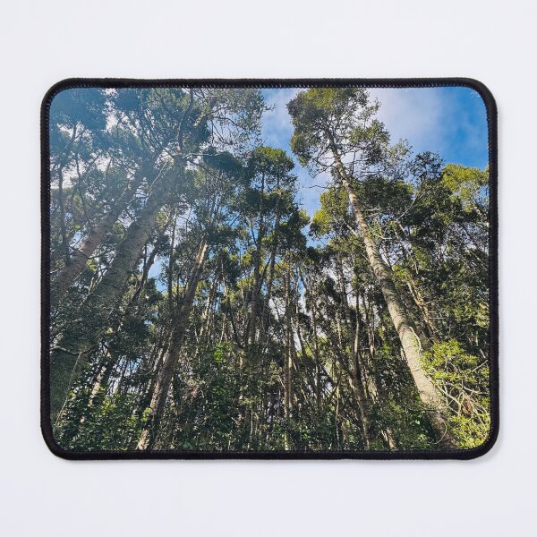 Item preview, Tall Kauri Under the Blue Sky designed and sold by Jasbindar Singh.