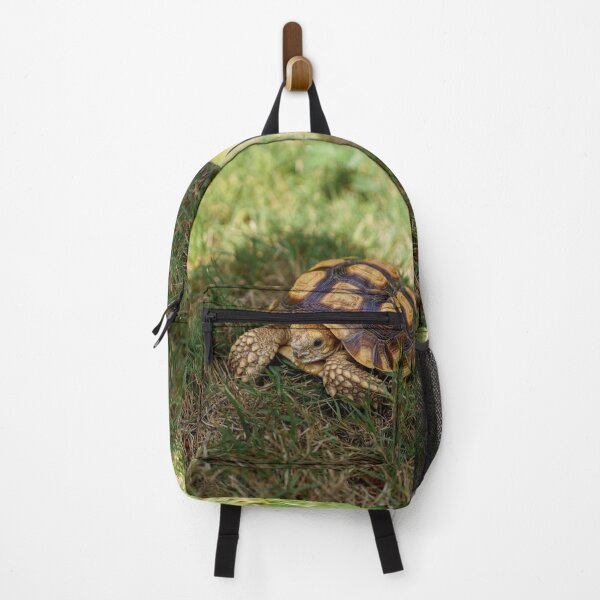 Item preview, Sulcata Tortoise designed and sold by HappyLeafHobbies.
