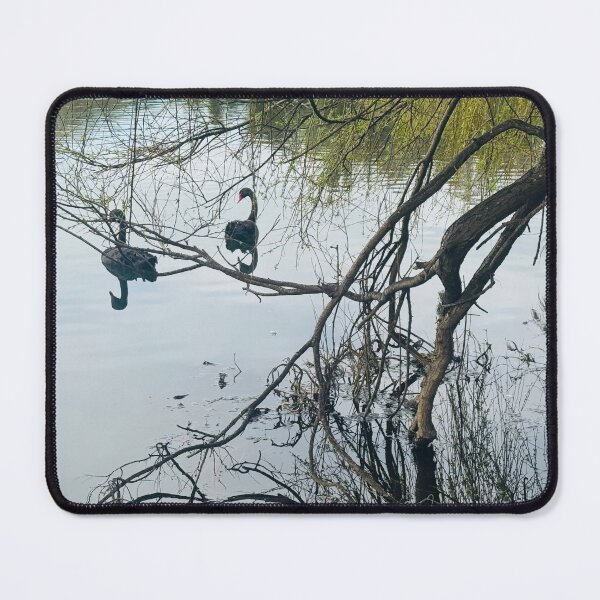 Item preview, Swan and Tree Reflections on Lake designed and sold by Jasbindar Singh.