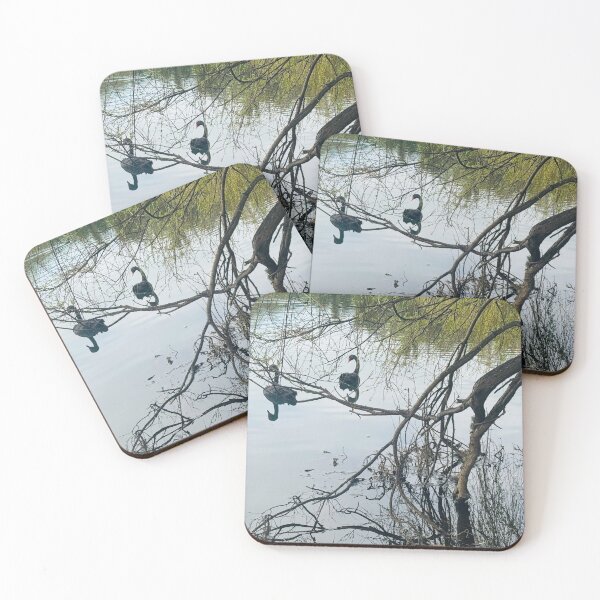 Item preview, Swan and Tree Reflections on Lake designed and sold by Jasbindar Singh.