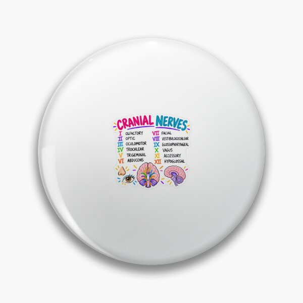 Item preview, Cranial Nerves Drawn Mnemonic Nursing Student Sticker designed and sold by isokinetic.