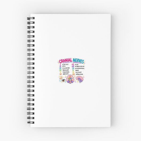 Item preview, Cranial Nerves Drawn Mnemonic Nursing Student Sticker designed and sold by isokinetic.