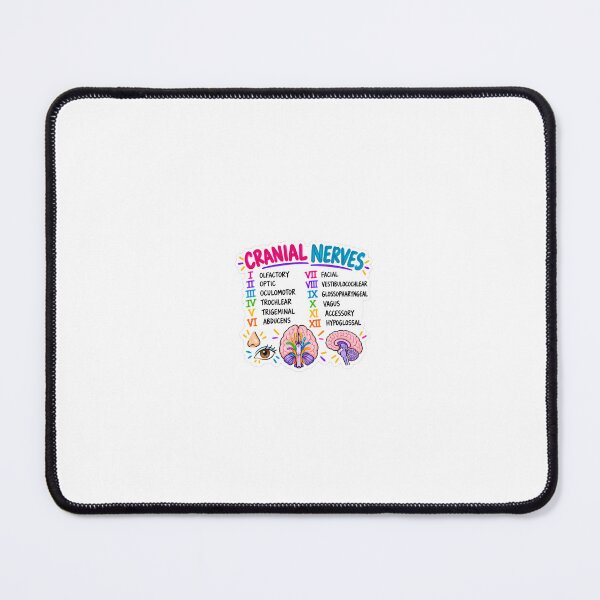 Item preview, Cranial Nerves Drawn Mnemonic Nursing Student Sticker designed and sold by isokinetic.