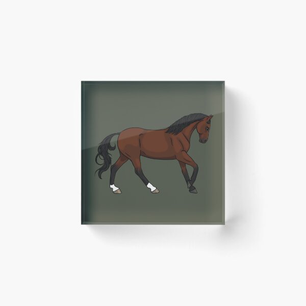 Item preview, Bay KWPN Dutch Warmblood designed and sold by Old Water Cryptid .
