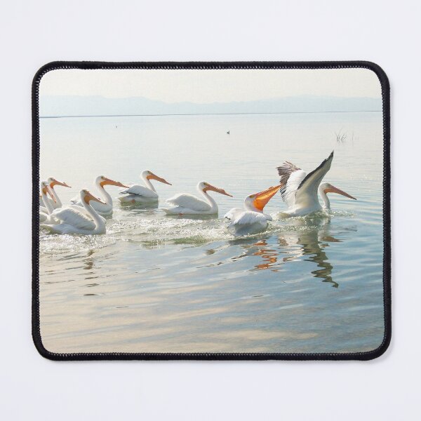 Item preview, Pelicans Swimming in Line on Calm Water designed and sold by AuraNatura.