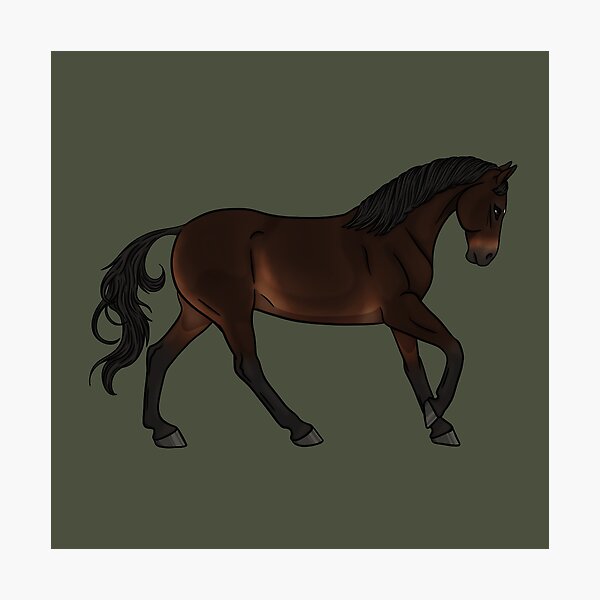Item preview, Seal Bay KWPN Dutch Warmblood designed and sold by Old Water Cryptid .