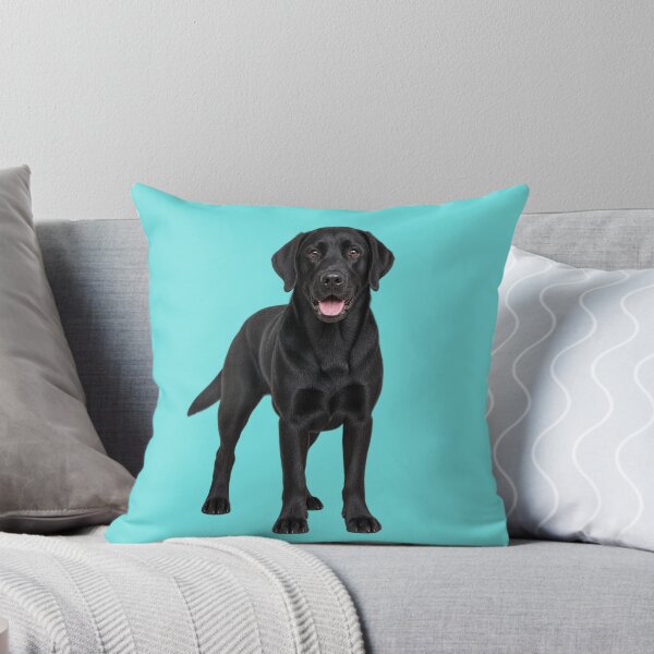 Item preview, Black Labrador full pose  designed and sold by cringe0015.