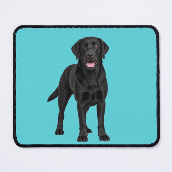 Item preview, Black Labrador full pose designed and sold by cringe0015.