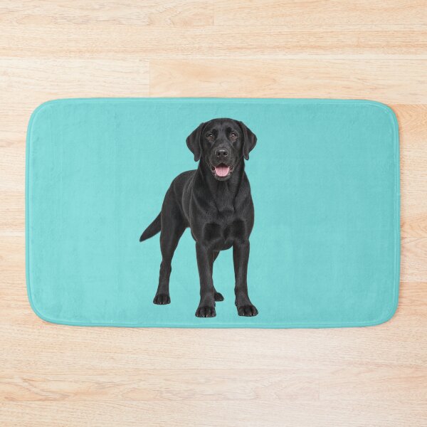 Item preview, Black Labrador full pose  designed and sold by cringe0015.