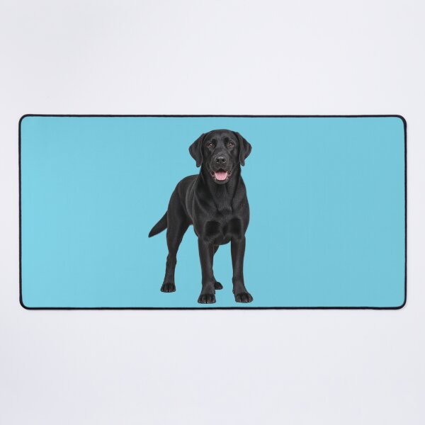 Item preview, Black Labrador full pose  designed and sold by cringe0015.