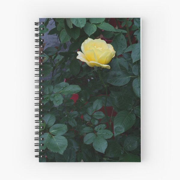 Item preview, yellow rose after rain designed and sold by EleniA8.