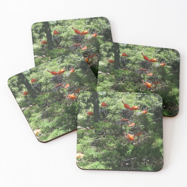 Item preview, Scarlet Ibis Birds in Exotic Green Foliage designed and sold by AuraNatura.