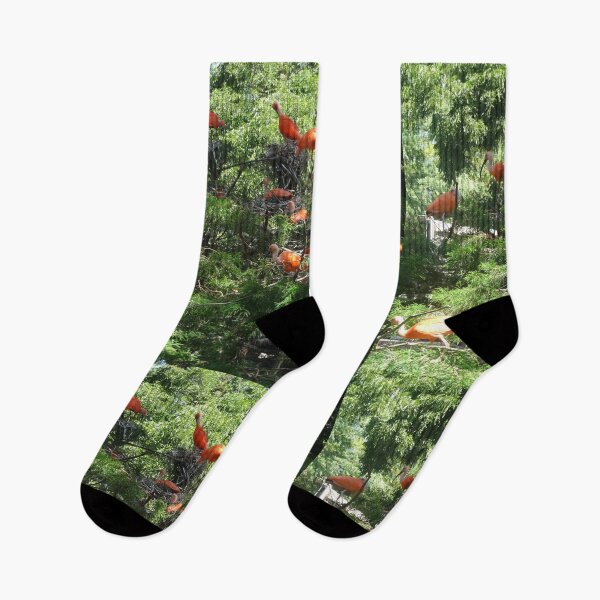 Item preview, Scarlet Ibis Birds in Exotic Green Foliage designed and sold by AuraNatura.