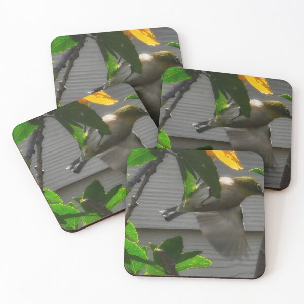 Item preview, Warbling white eye on Hibiscus  designed and sold by Michael4877.