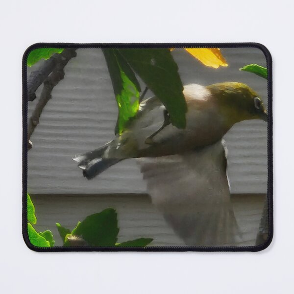Item preview, Warbling white eye on Hibiscus designed and sold by Michael4877.