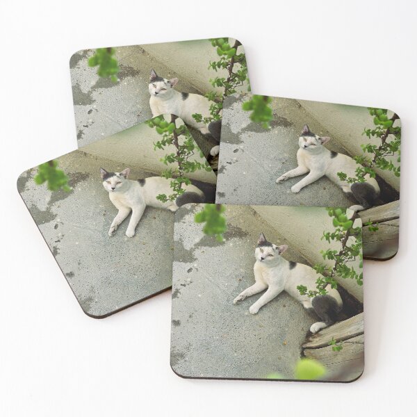 Item preview, Funny Calico Cat Laying Down On Back designed and sold by AuraNatura.