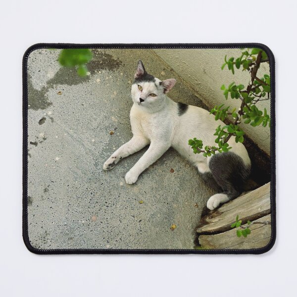 Item preview, Funny Calico Cat Laying Down On Back designed and sold by AuraNatura.