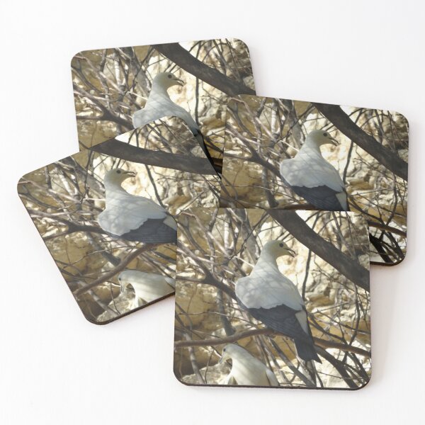 Item preview, White Pied Imperial Pigeon on Tree Branches designed and sold by AuraNatura.