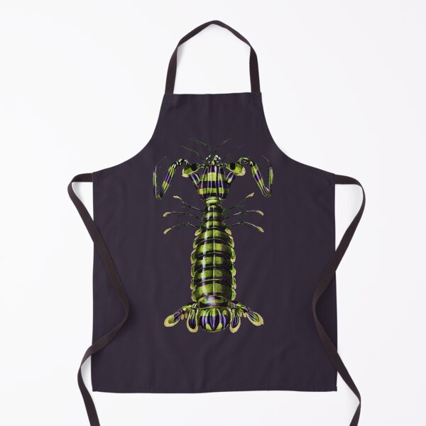 Item preview, Giant Mantis Shrimp by Charles Dessalines d'Orbigny, 1849 designed and sold by Exhumed Archives.