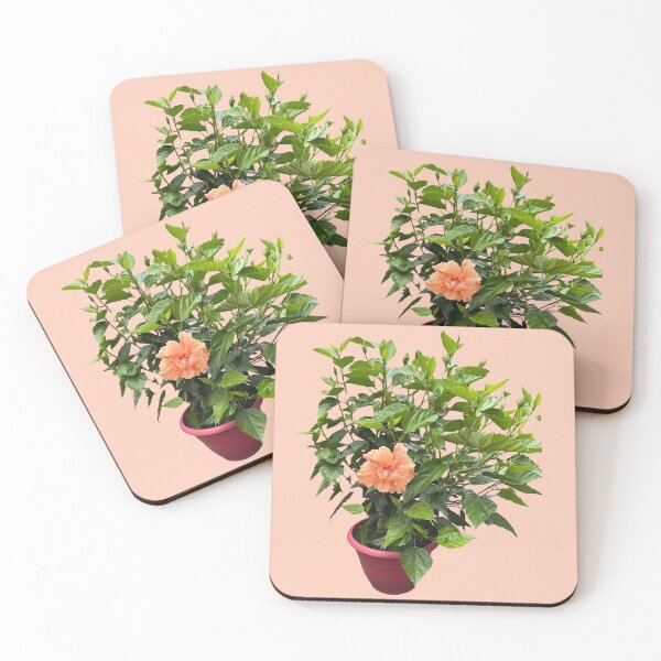 Item preview, hibiscus flower plant, peach color designed and sold by EleniA8.