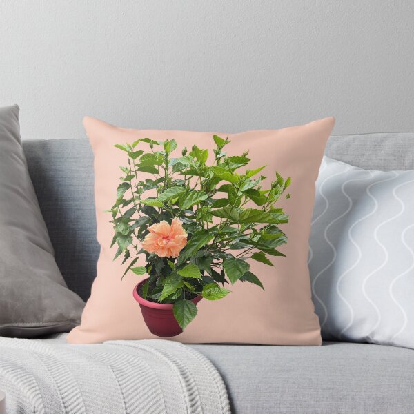Item preview, hibiscus flower plant, peach color designed and sold by EleniA8.