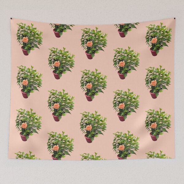 Item preview, hibiscus flower plant, peach color designed and sold by EleniA8.