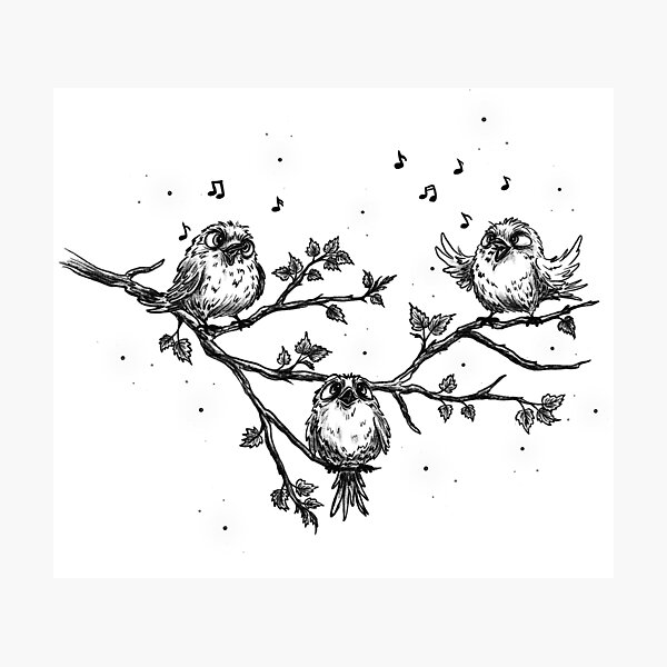 Item preview, Sketch of singing birds on a tree branch in spring, vintage black-and-white style, birds among clouds. designed and sold by ArtbySvetik.