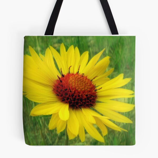 Item preview, Wild Gaillardia of the Rockies designed and sold by Julie's Camera Creations <><.