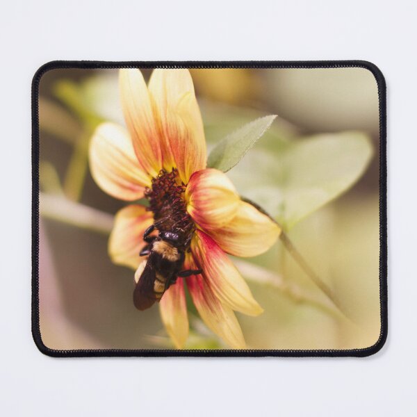 Item preview, Bee on Magic Roundabout Sunflower designed and sold by PhotoArtbyGrace.