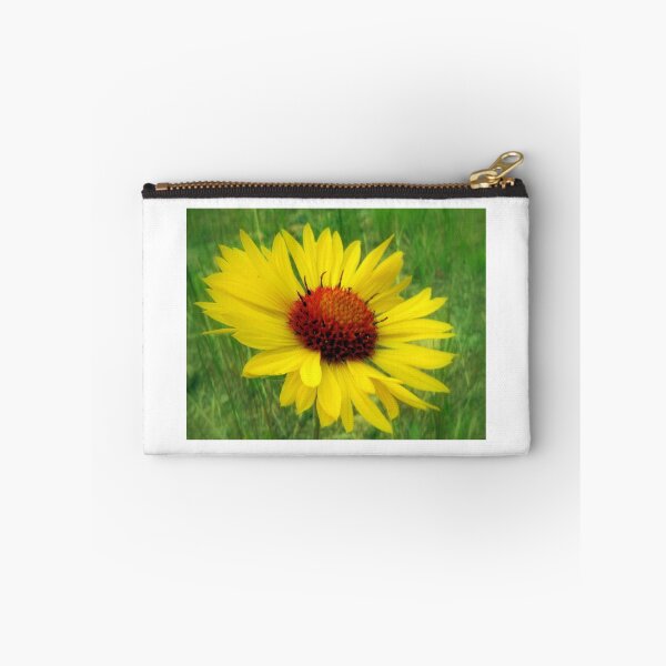 Aperçu de l'œuvre Wild Gaillardia of the Rockies créée et vendue par Julie's Camera Creations <><.