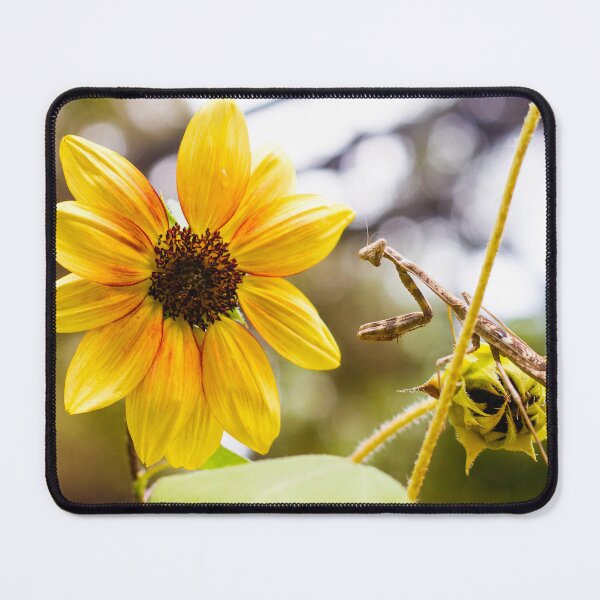 Item preview, Mantis on Sunflower designed and sold by PhotoArtbyGrace.