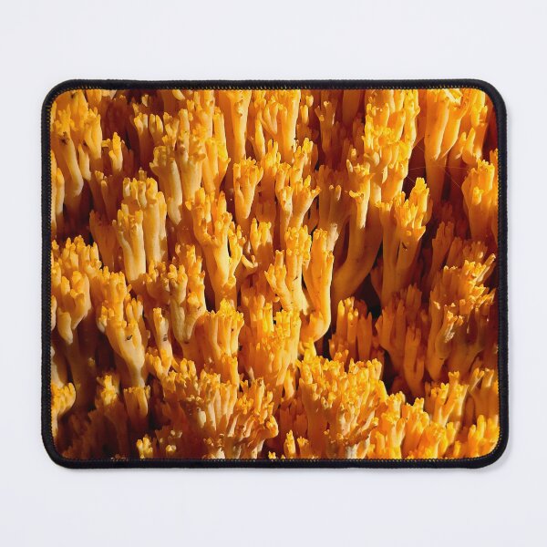 Item preview, Coral Fungus Close-Up designed and sold by bjtomiko.
