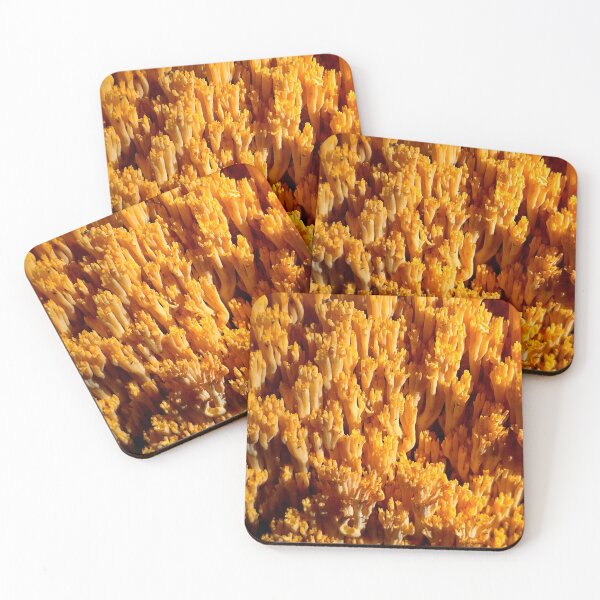 Item preview, Coral Fungus Close-Up designed and sold by bjtomiko.