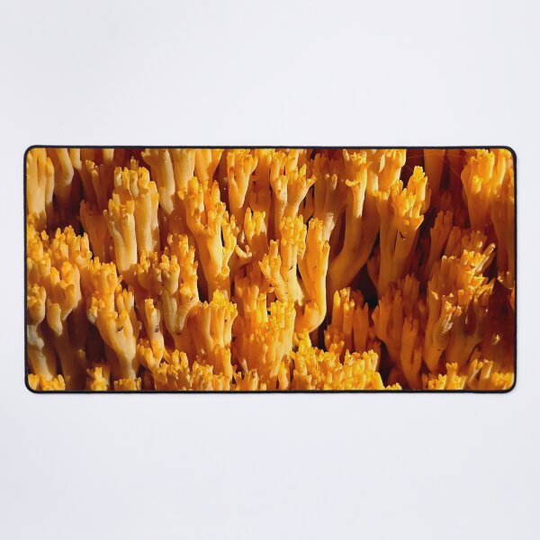 Item preview, Coral Fungus Close-Up designed and sold by bjtomiko.