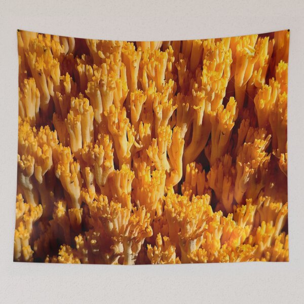 Item preview, Coral Fungus Close-Up designed and sold by bjtomiko.