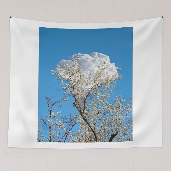 Item preview, Mallorca The Black Eyed Peas band dCoastal Paradise designed and sold by alekcarz.