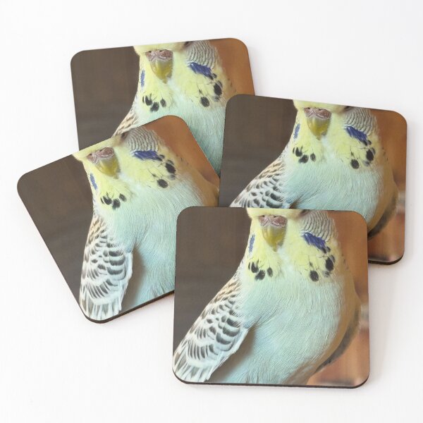Item preview, Mallorca Cacau Show Summer Journey designed and sold by alekcarz.