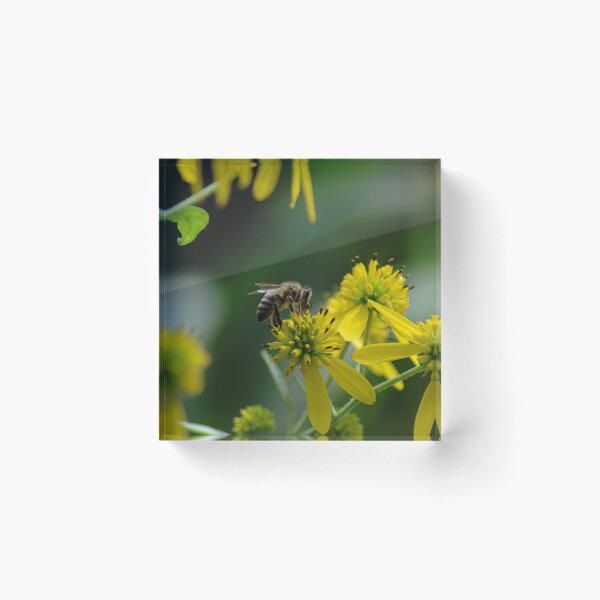 Item preview, Mid-September Honey Bee designed and sold by gistinker.
