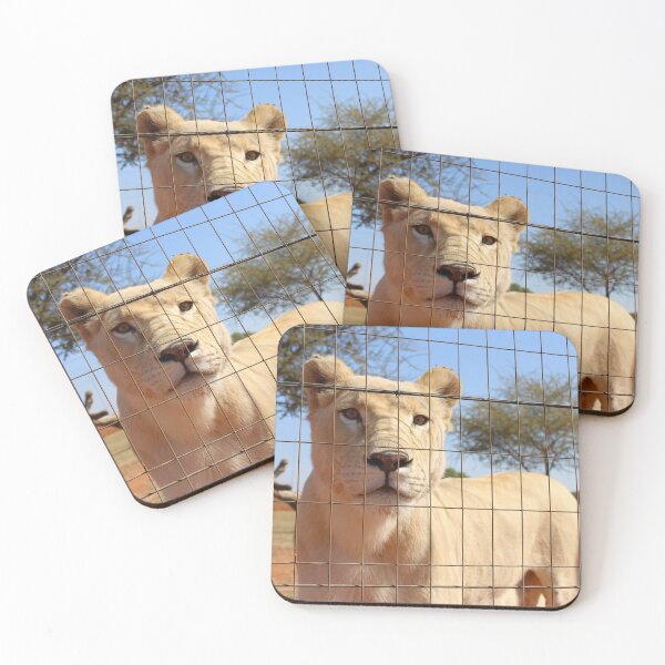 Item preview, Lioness designed and sold by lukeferd.