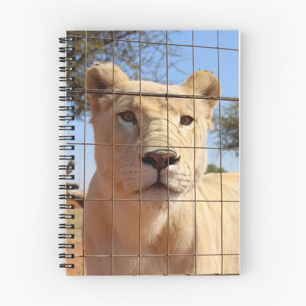 Item preview, Lioness designed and sold by lukeferd.