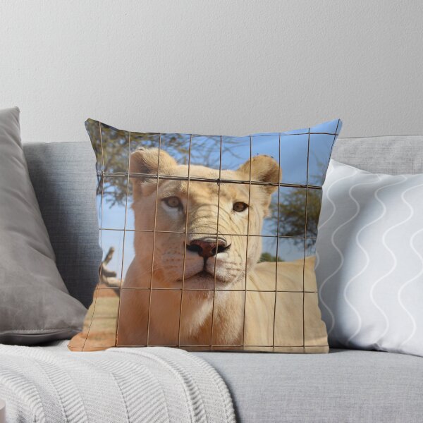 Item preview, Lioness designed and sold by lukeferd.