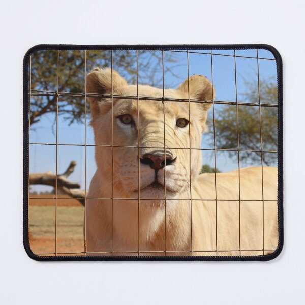 Item preview, Lioness designed and sold by lukeferd.