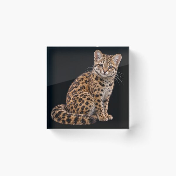 Item preview, Newly Discovered Tilcayo Cat on Black designed and sold by Elisabeth Lucas.