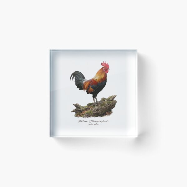 Item preview, Red Junglefowl on Wooden Log Bird Illustration designed and sold by Takeda-art.