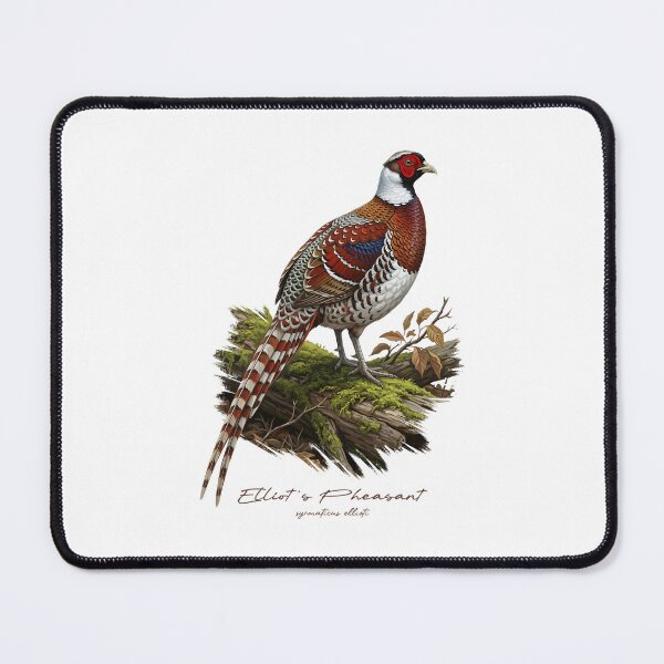 Item preview, Elliot's Pheasant on Mossy Log Bird Illustration designed and sold by Takeda-art.