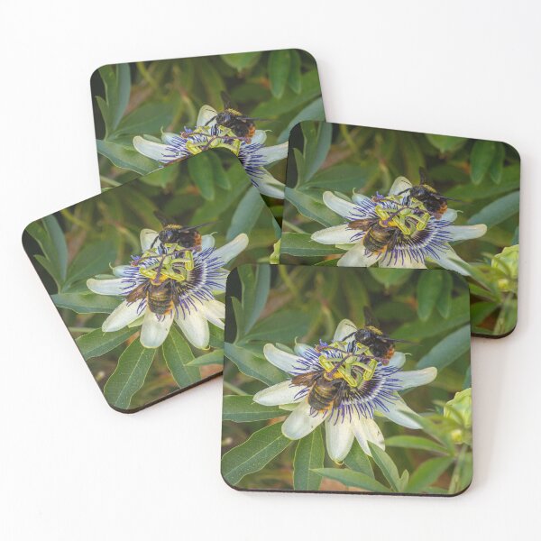 Item preview, Passionate Bees designed and sold by Julie Navitka.