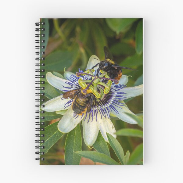 Item preview, Passionate Bees designed and sold by Julie Navitka.