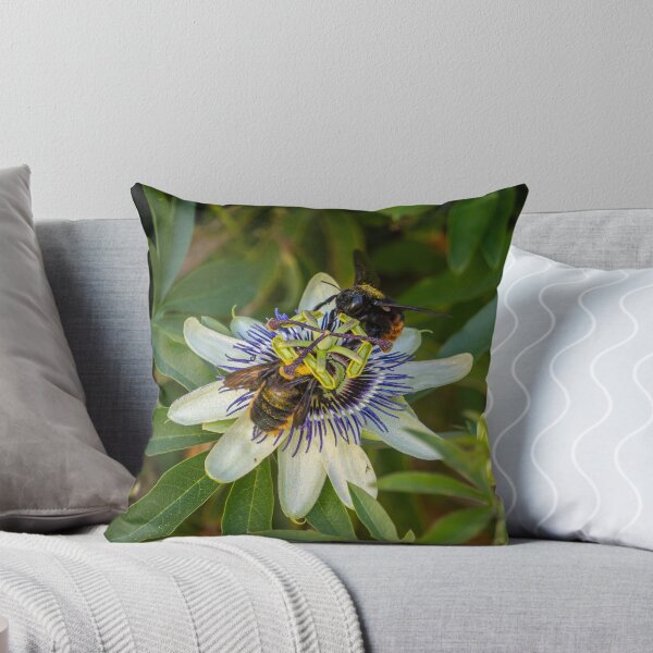 Item preview, Passionate Bees designed and sold by Julie Navitka.